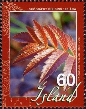 Forest Service 100 years