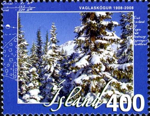 Forestry in Vaglaskógur