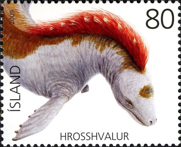 Humpback Whale/Hrosshvalur