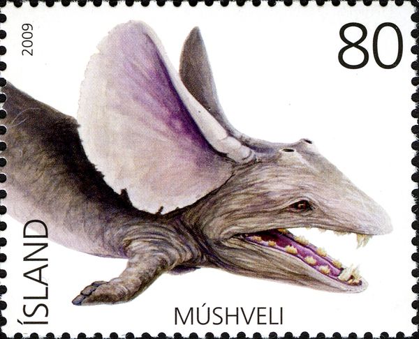 Múshveli