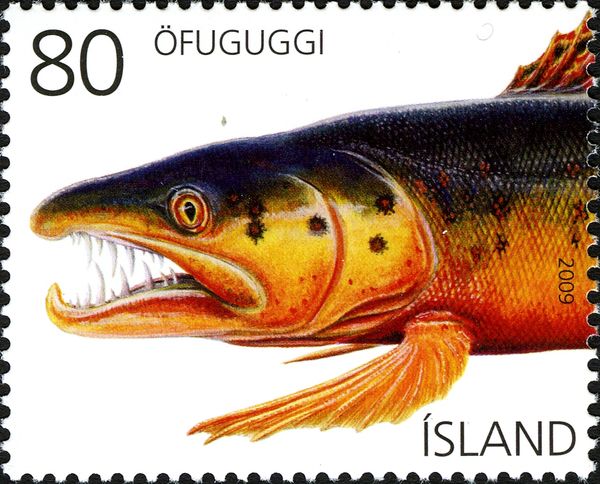 Ofuguggi