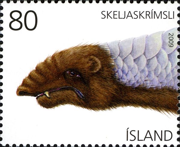 Shell Monster/Skeljaskrímsli