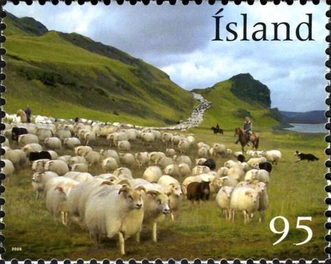 Shepherds and sheep in open pasture