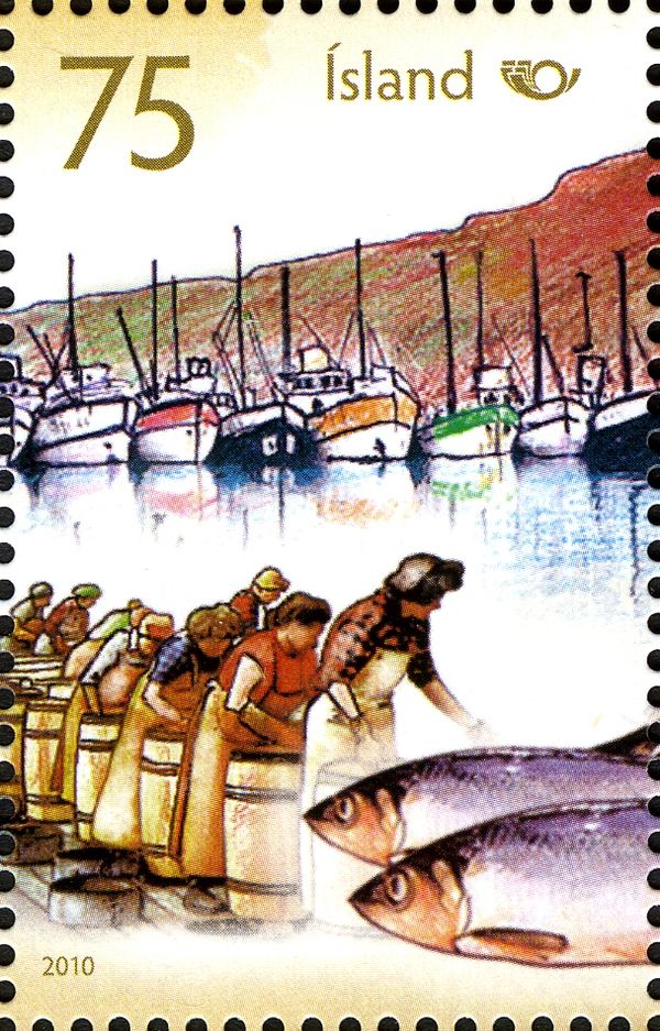 Women filling Herring Barrels, Herring (Clupea harengus)