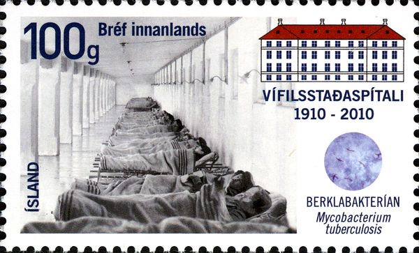 Vífilsstadhir Sanatorium, Cent.