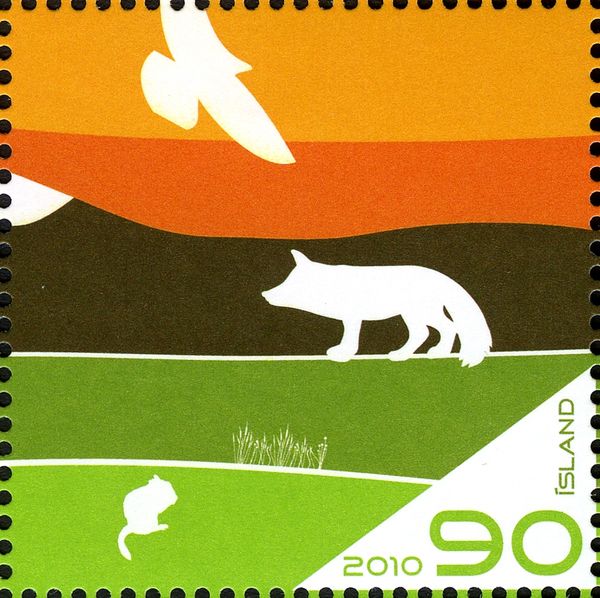 Hawk, wolf, rodent