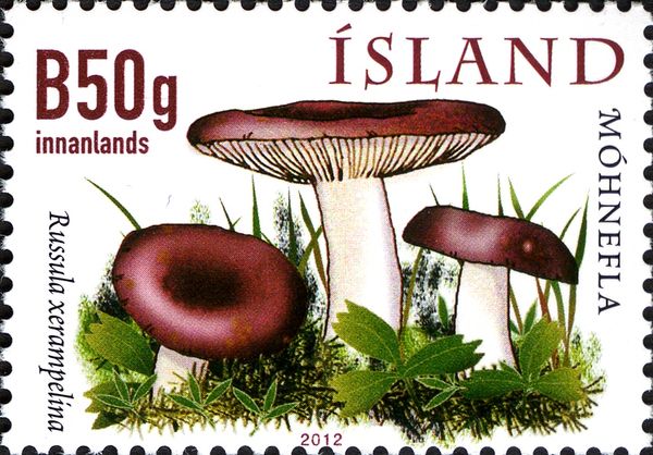 Mushrooms VI - Crab brittlegill