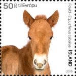Foal