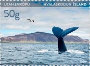 Whale