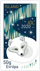 Fox and Northern Lights