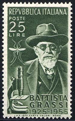30th Death Anniversary of Battista Grassi (1854-1925)