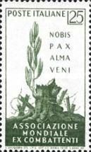 International War Veterans' Association Convention, Rome