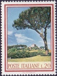 Italian Stone Pine on the Palatine Hill, Rome