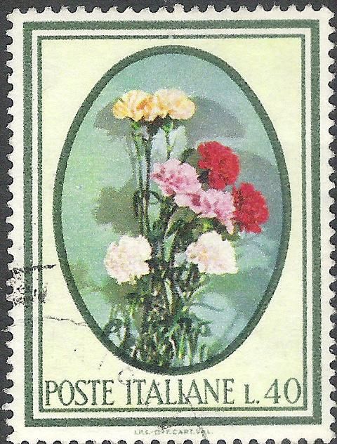 Carnations