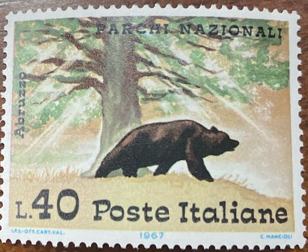 Brown Bear (Ursus arctos), Abruzzo Park