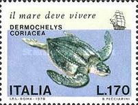 Leatherback Sea Turtle (Dermochelys coriacea)