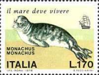Mediterranean Monk Seal (Monachus monachus)