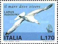 Audouin's Gull (Larus audouinii)