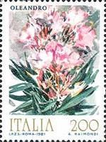 Oleander