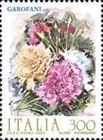Carnations