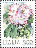 Rhododendron