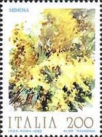 Mimosa
