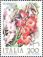 Gladiolus