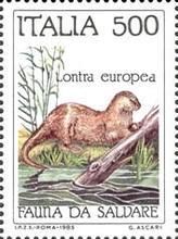 Eurasian Otter (Lutra lutra)