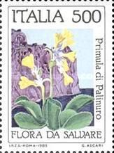 Palinuro primula