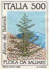 Fir tree