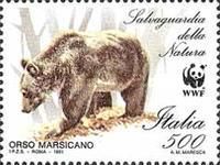 Marsican Brown Bear (Ursus arctos marsicanus)