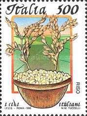 Rice