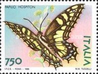Corsican Swallowtail (Papilio hospiton)