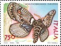 European Owl Moth (Acanthobrahmaea europaea)
