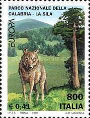 Sila National Park, Wolf (Canis lupus)