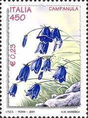 Campanula