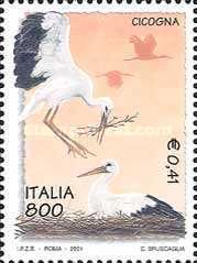 White Stork (Ciconia ciconia)