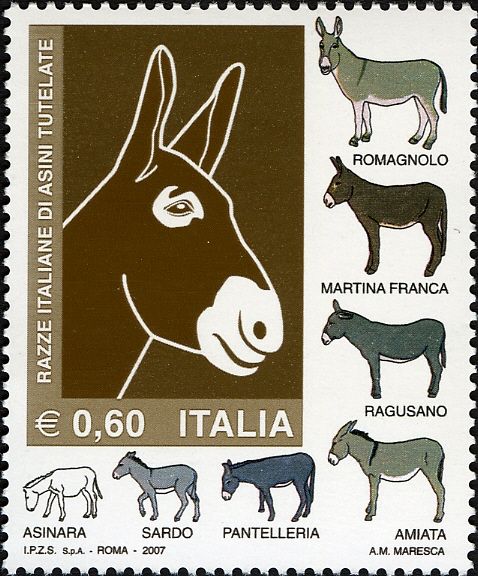 Protected Donkey Breeds