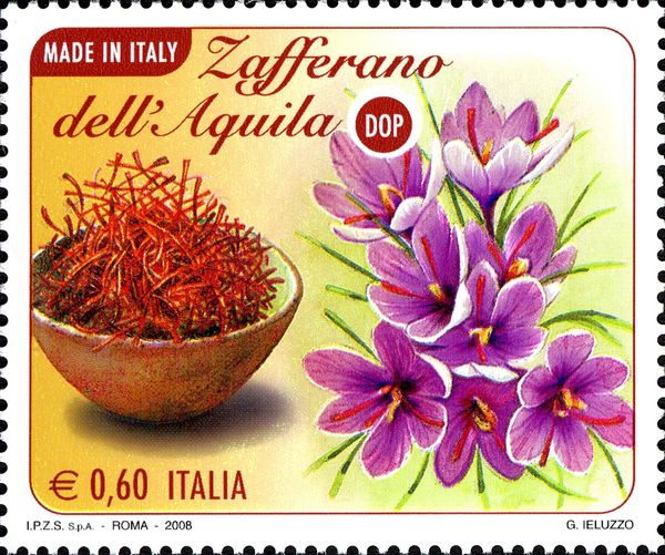 Saffron, Crocuses
