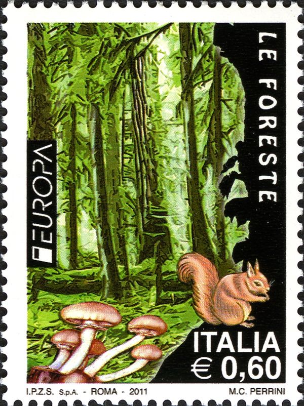 Eurasian Red Squirrel (Sciurus vulgaris)