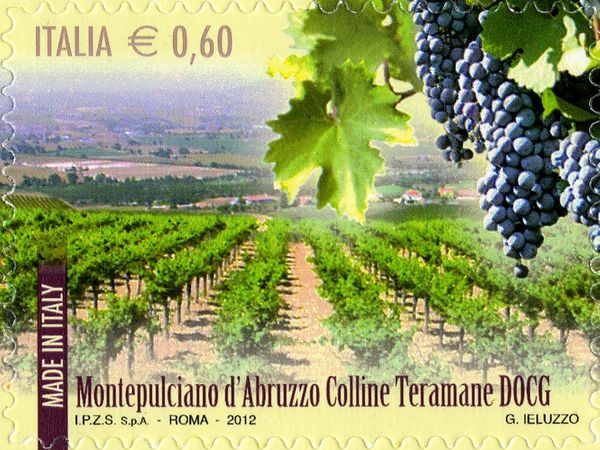 Wines DOCG Montepulciano d'Abruzzo