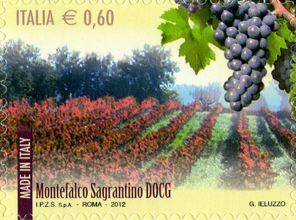 Wines DOCG Montefalco
