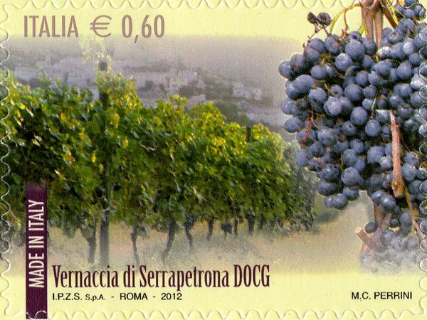 Wines DOCG Vernaccia