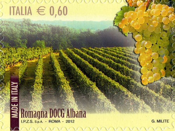 Wines DOCG Romagna Albana