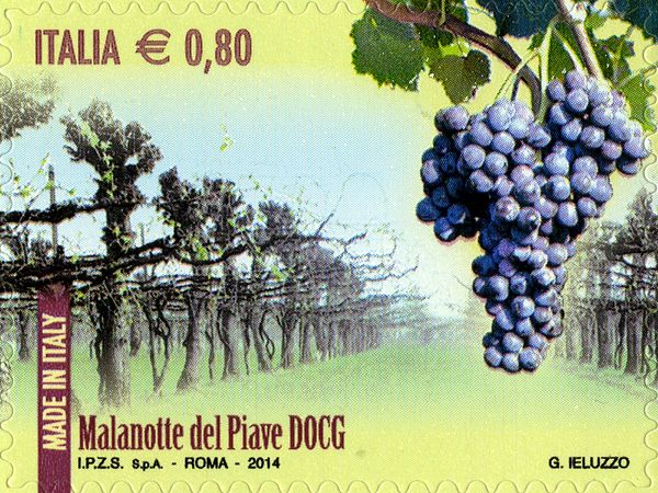 Malanotte del Piave DOCG