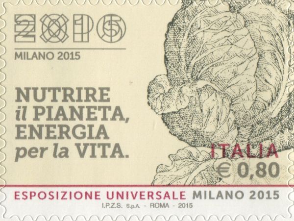 Universal Exposition "Milan 2015" - Cabbage