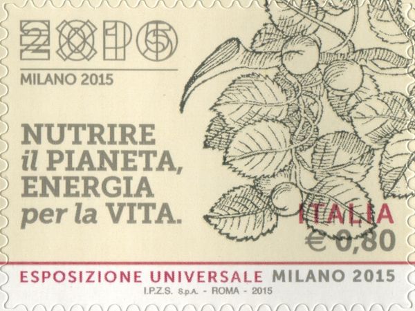 Universal Exposition "Milan 2015" - Plums