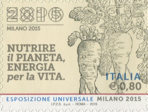 Universal Exposition "Milan 2015" - Carrots