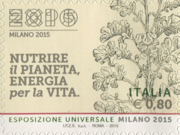 Universal Exposition "Milan 2015" - Parsley