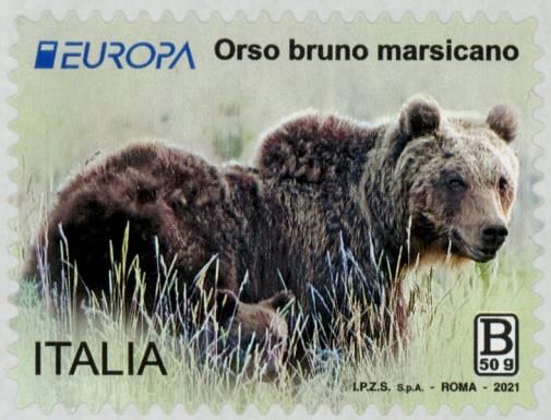 Marsican Brown Bear (Ursus arctos marsicanus)